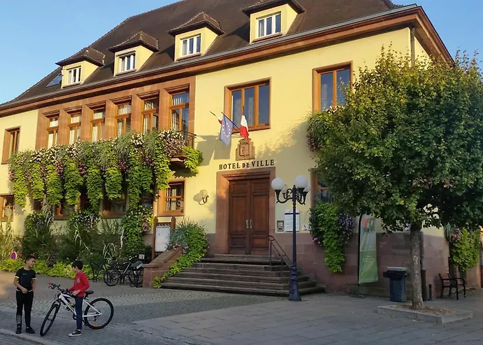Lägenhet Meuble Des Pierres Blanches N1 Niederbronn-les-Bains